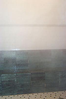 steamRoom-concentrate.jpg